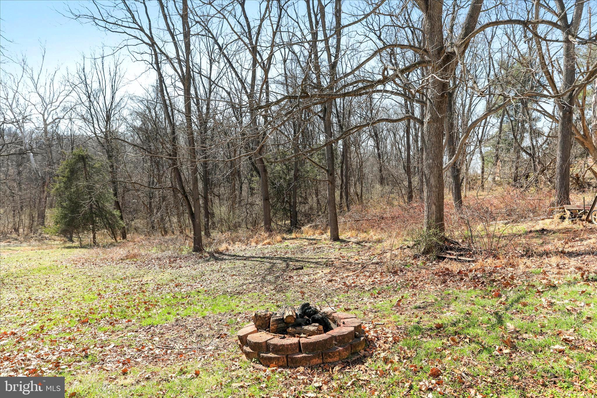 573 Lewis Street Front Royal, VA 22630 - Photo 40 of 45 a view of a backyard of the house