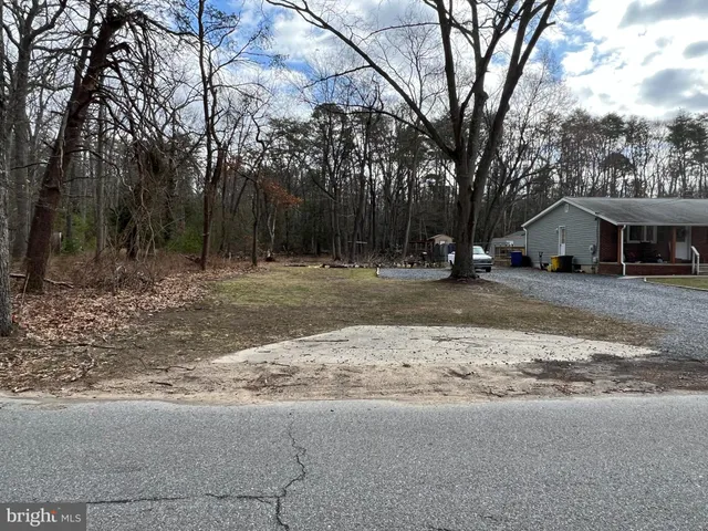 a backyard of a house with large trees and outdoor seating