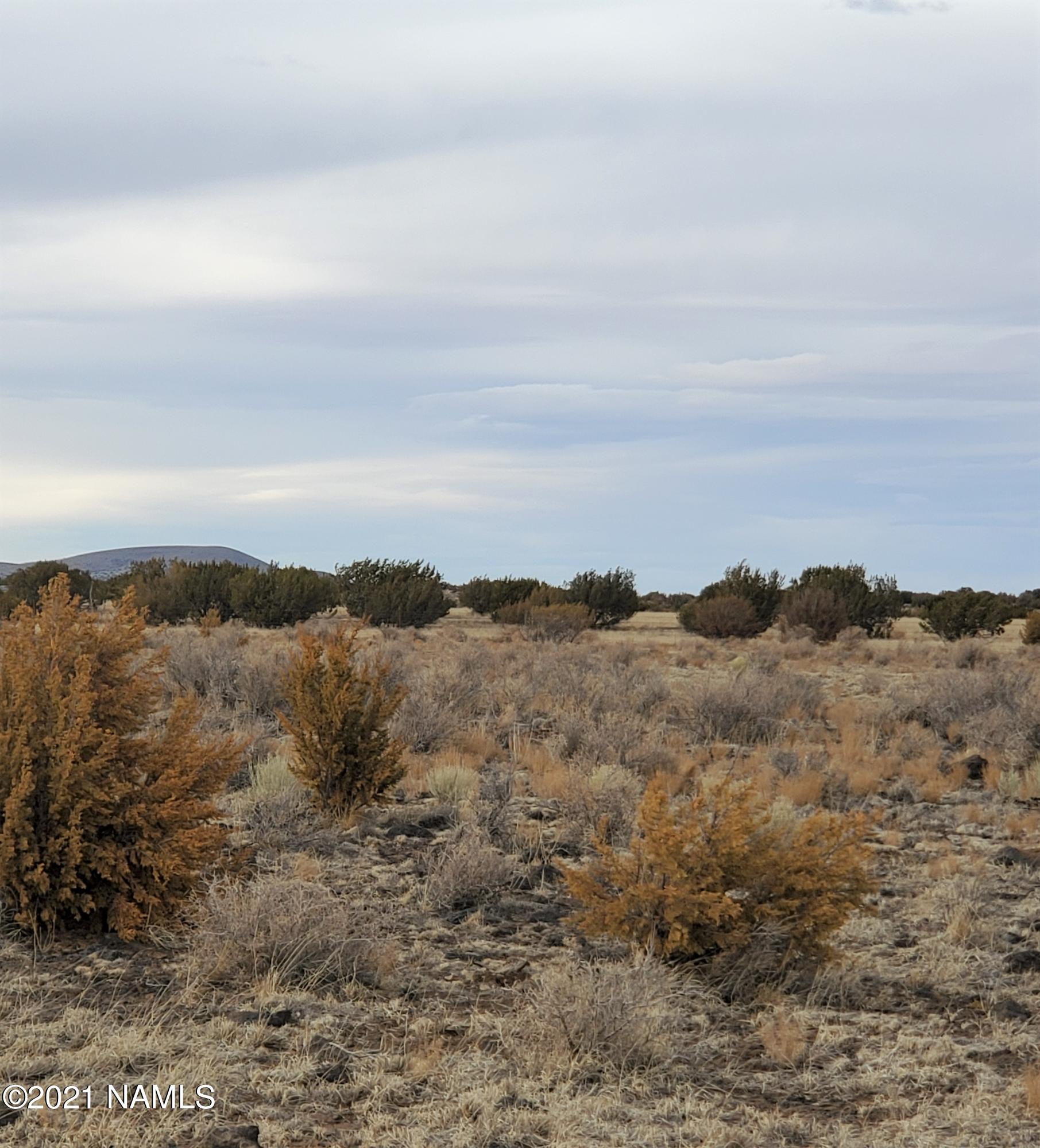 30317064 photo 1
