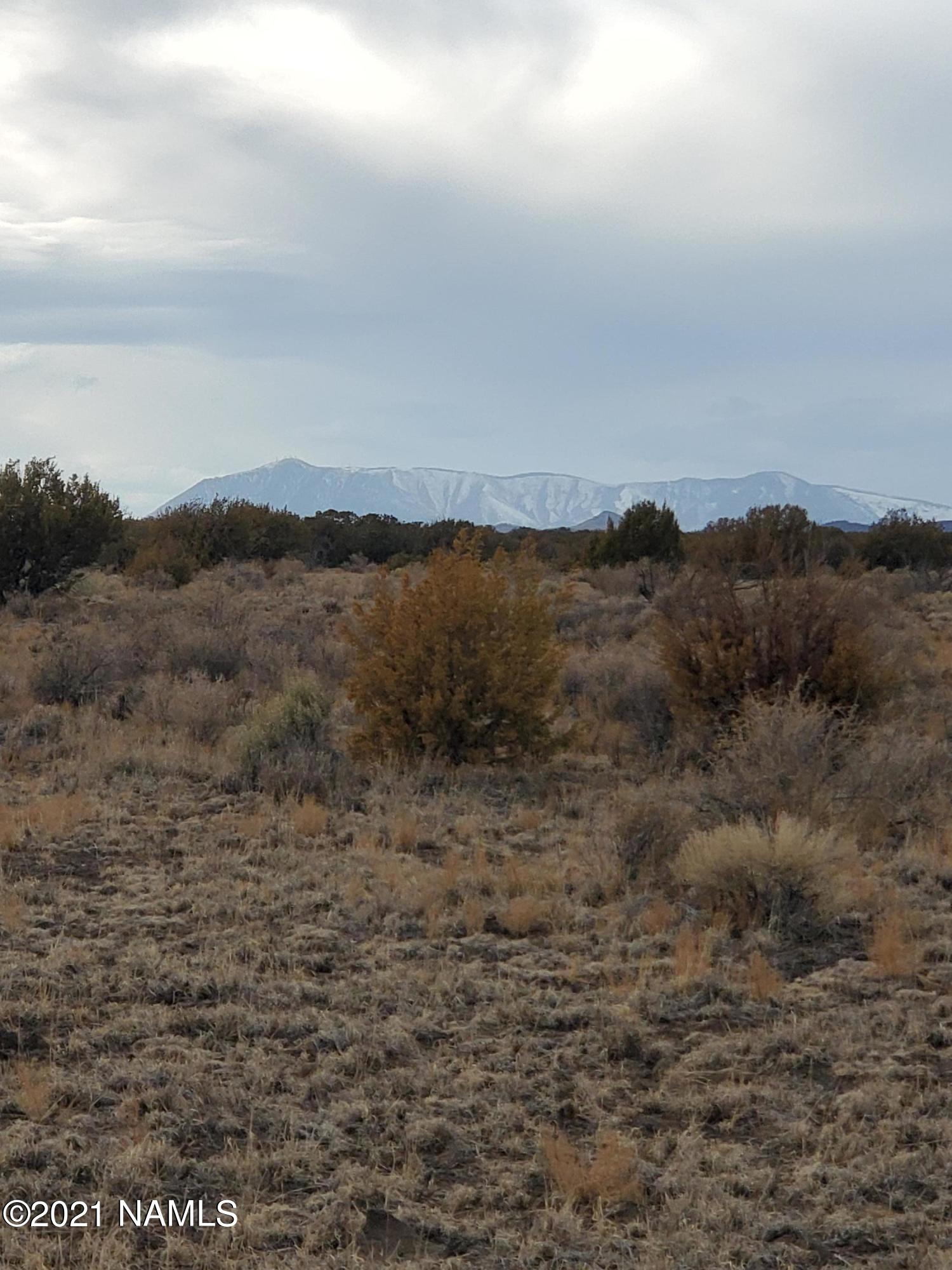 30317064 photo 3