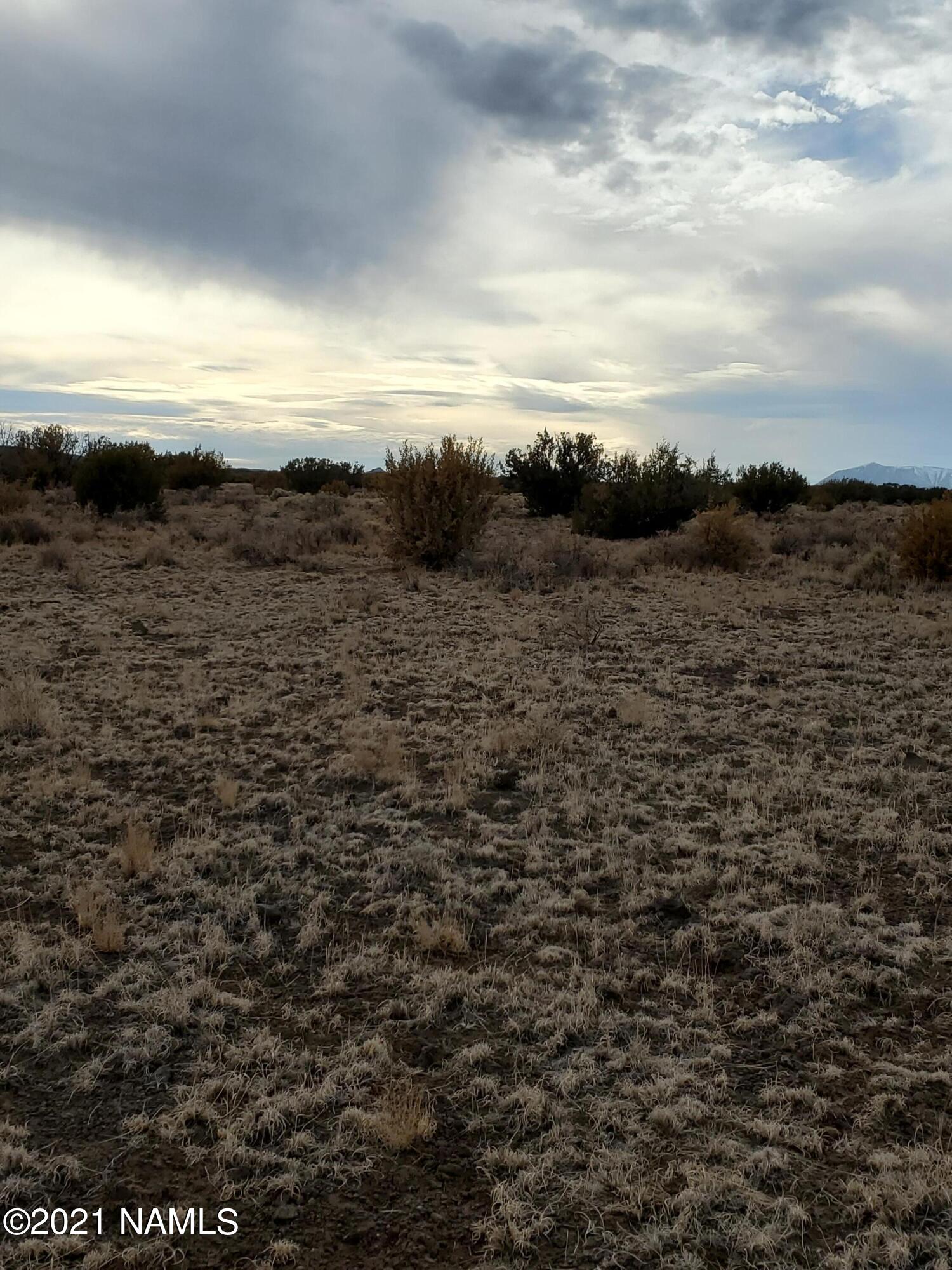 30317064 photo 4