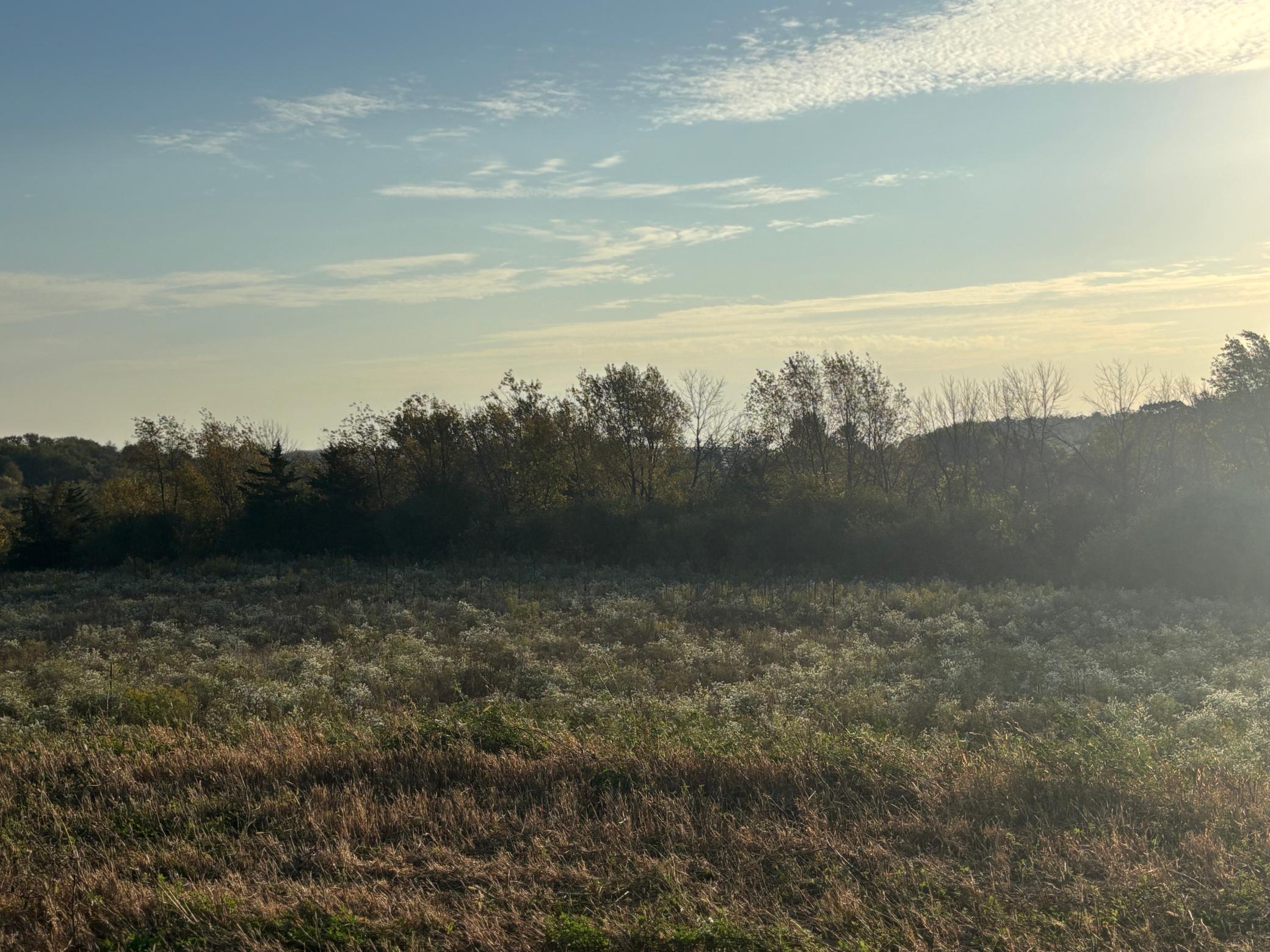 241 6th Court Southeast Dover, MN 55929 - Photo 4 of 7