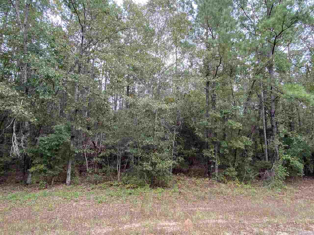10-acres Loango Road Flomaton, AL 36441 - Photo 2 of 4 Gallery Image 2