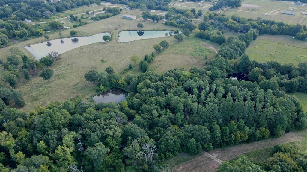 423 County Road 1560 Alba, TX 75410 - Photo 4 of 12 an aerial view of residential house with outdoor space and trees all around