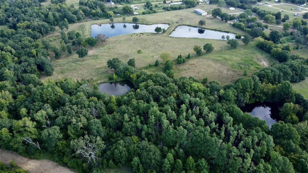 423 County Road 1560 Alba, TX 75410 - Photo 6 of 12 an aerial view of a house with a yard and trees all around