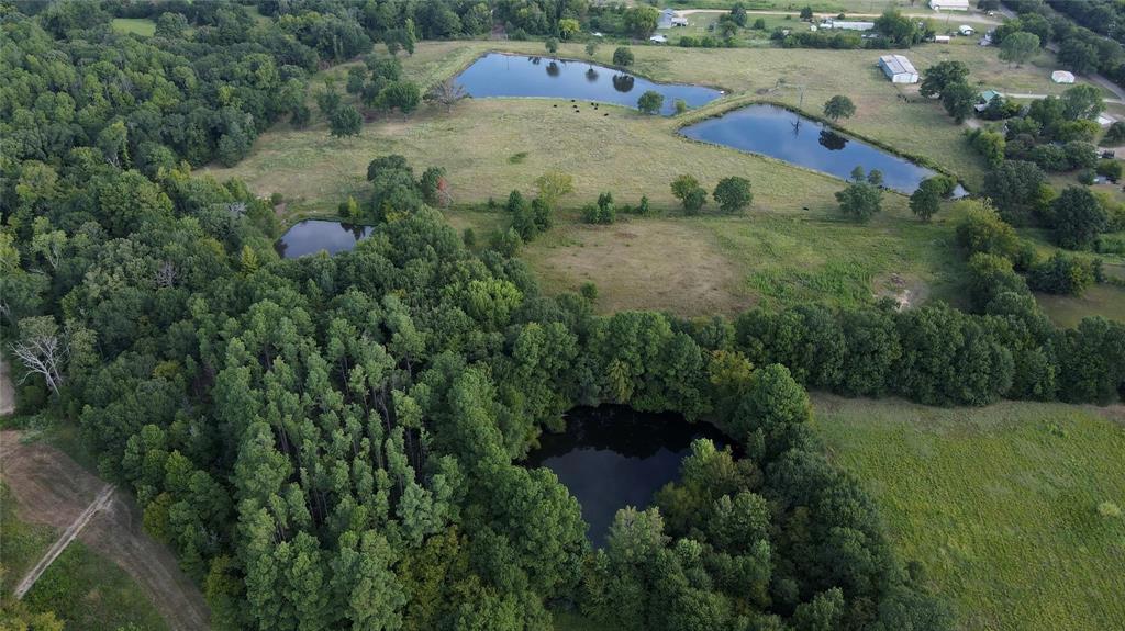 423 County Road 1560 Alba, TX 75410 - Photo 7 of 12 an aerial view of a house with a yard