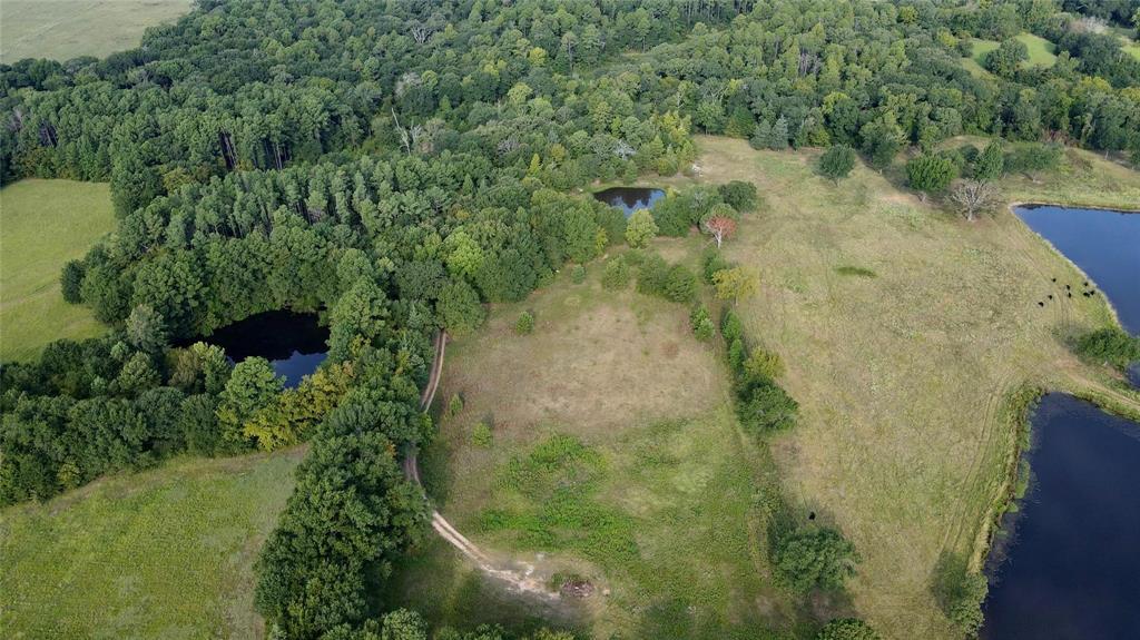 423 County Road 1560 Alba, TX 75410 - Photo 8 of 12