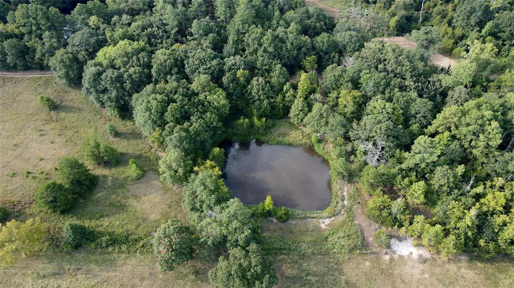 423 County Road 1560 Alba, TX 75410 - Photo 10 of 12 an aerial view of a house with a yard