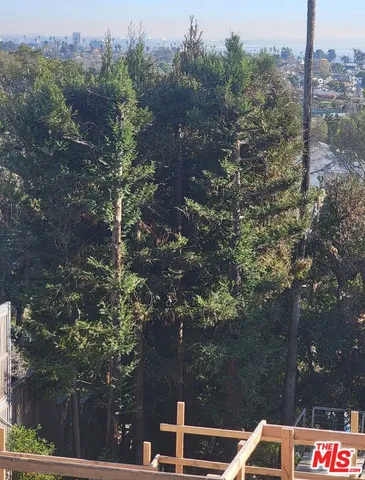a view of river covered by trees