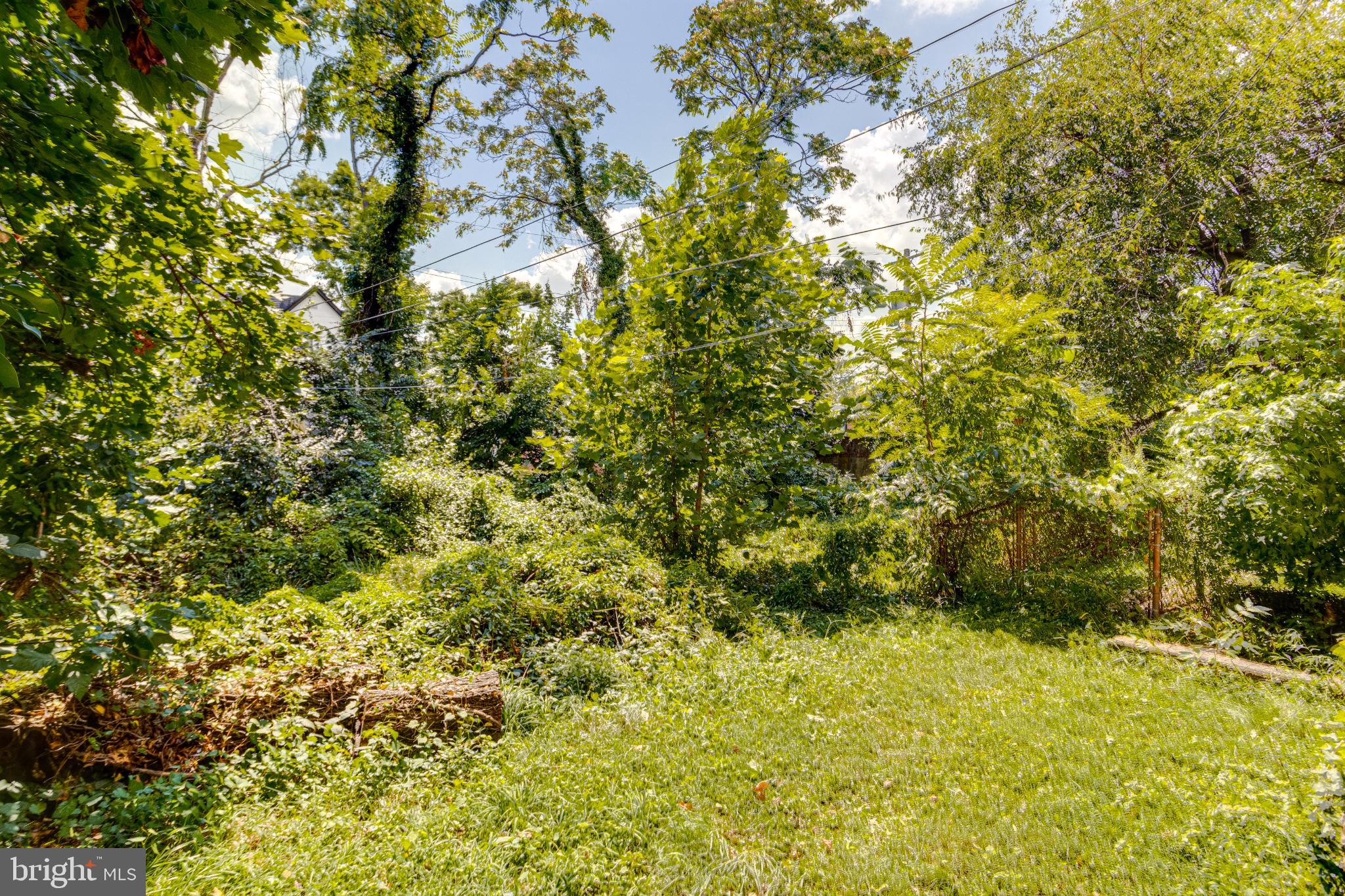 4209 Chatham Road Baltimore, MD 21207 - Photo 36 of 37 a view of a bunch of trees and bushes