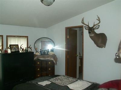 3128 South Grow Road Sidney, MI 48885 - Photo 4 of 7 Additional Photo