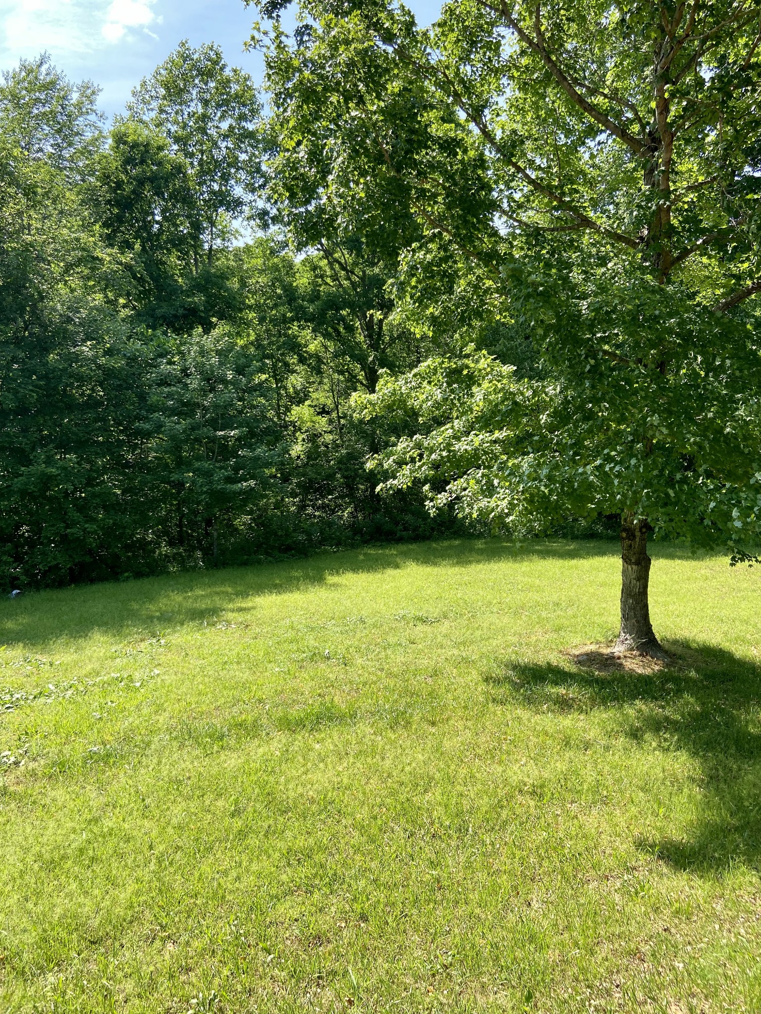 317 Day Lane Tennessee Ridge, TN 37178 - Photo 4 of 31 a view of yard with green space