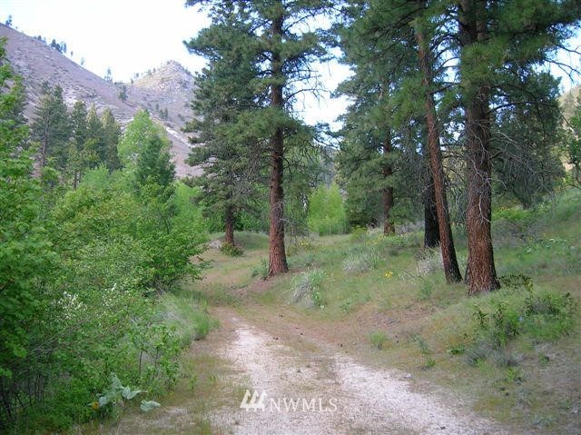 6745 Navarre Coulee Road Chelan, WA 98816 - Photo 10 of 11 Gallery Image 10
