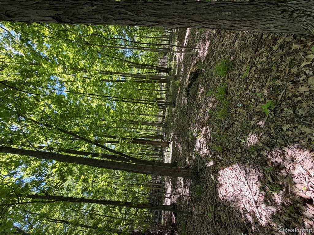 0 Dudley Road Brown City, MI 48416 - Photo 12 of 19