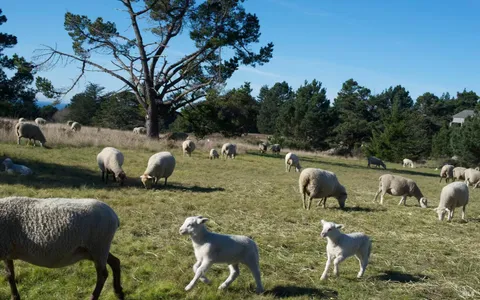 a spacious bathroom with a granite countertop sink a mirror and a bathtub