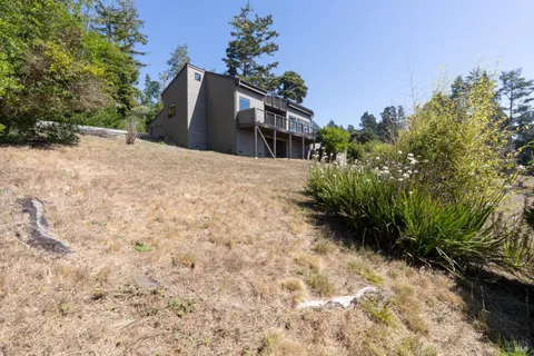 a view of a dry yard with trees