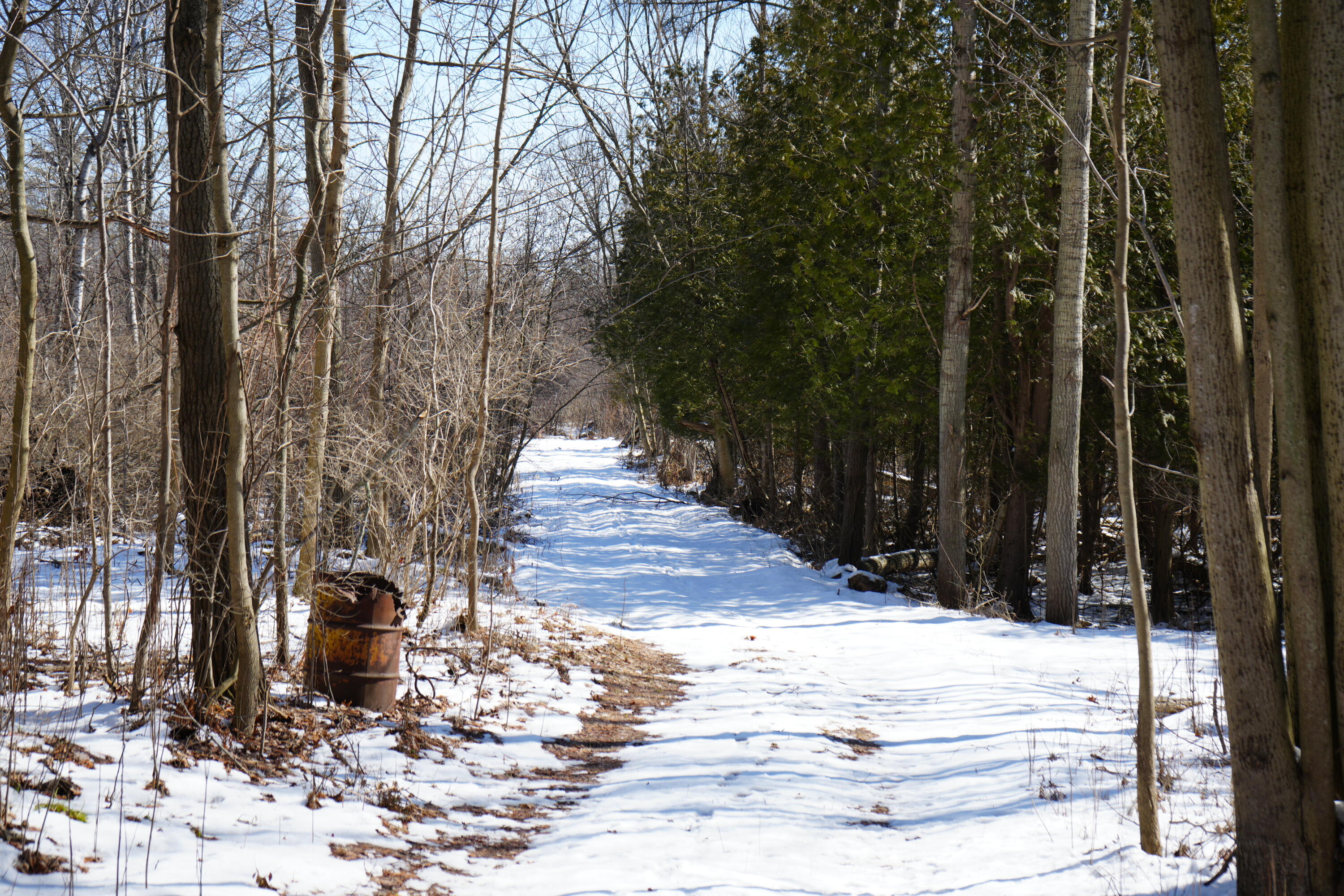 Walsh Road Montague, MI 49437 - Photo 23 of 26 DSC01094