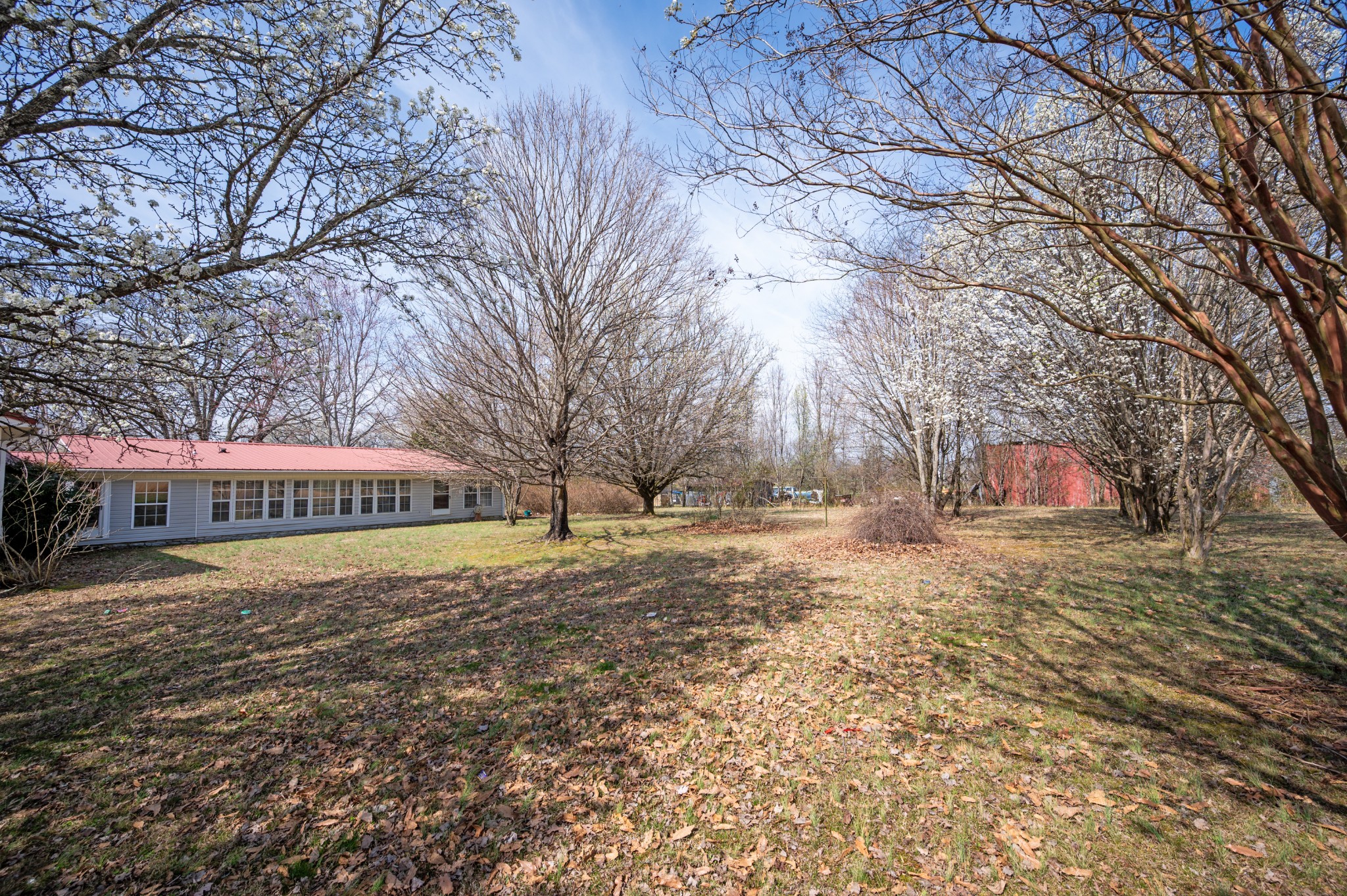 67 Lackey Road Kelso, TN 37348 - Photo 77 of 79 a view of an house with backyard and trees