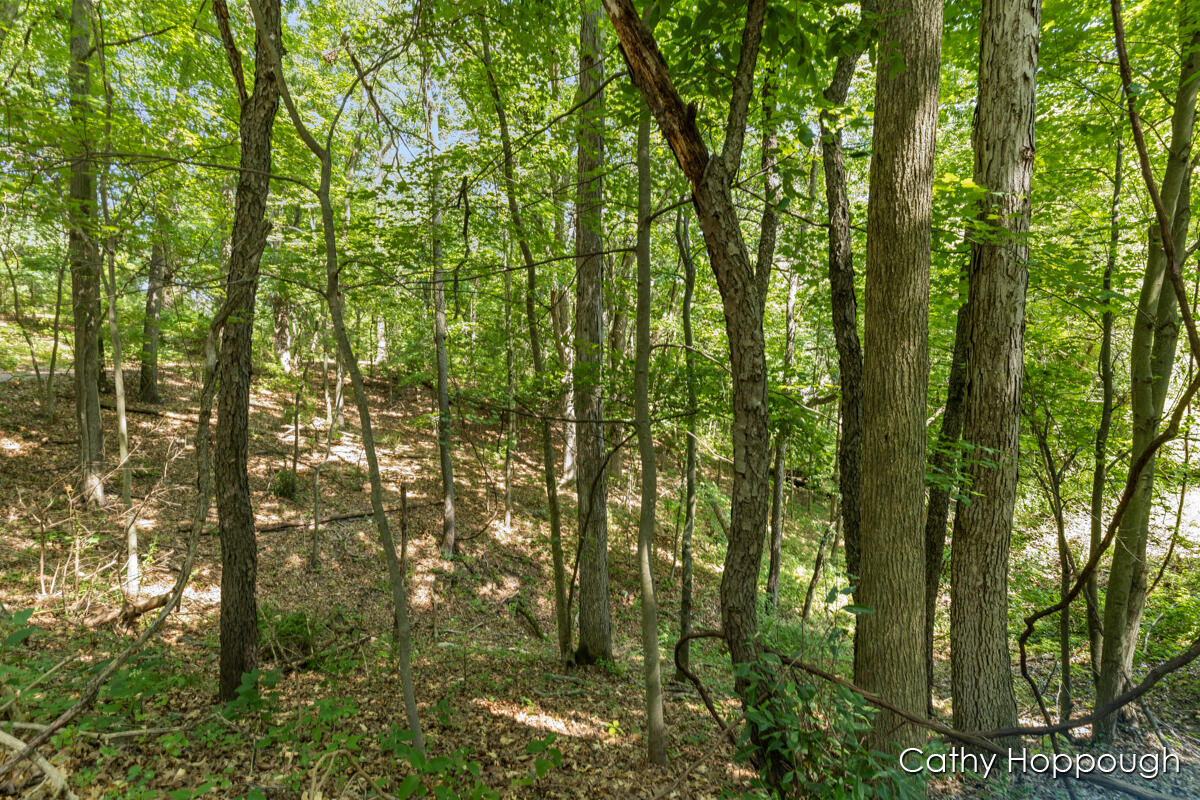 735 Prairie Creek Road Ionia, MI 48846 - Photo 71 of 81
