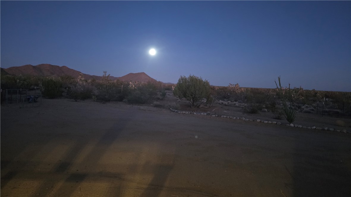 19688 South Diamondback Road Yucca, AZ 86438 - Photo 65 of 66 Yard