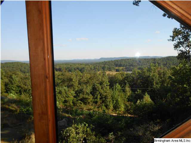 1826 Chandler Mountain Road Steele, AL 35987 - Photo 2 of 24