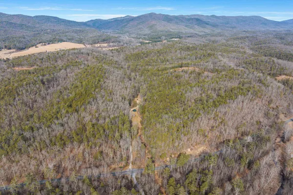 a view of mountain and a forest