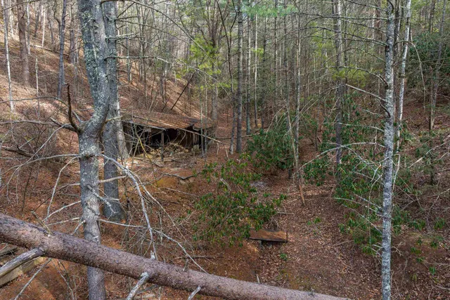 $800,000 | 595 Deerfield Valley Road, West Augusta, VA 24485