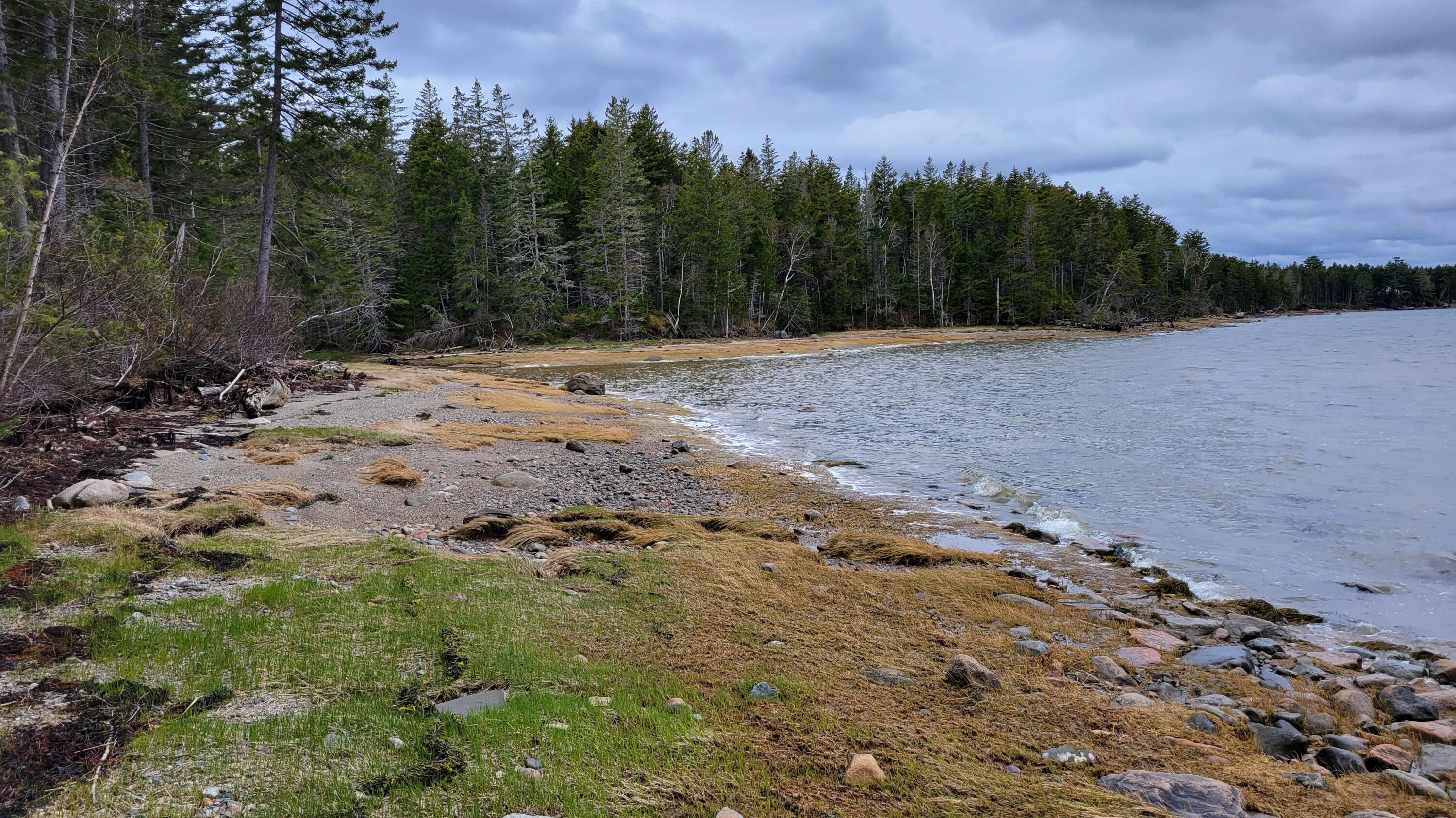 Map58-lot4 Paul Bunyan Road Corea, ME 04624 - Photo 6 of 19 20230504_122652