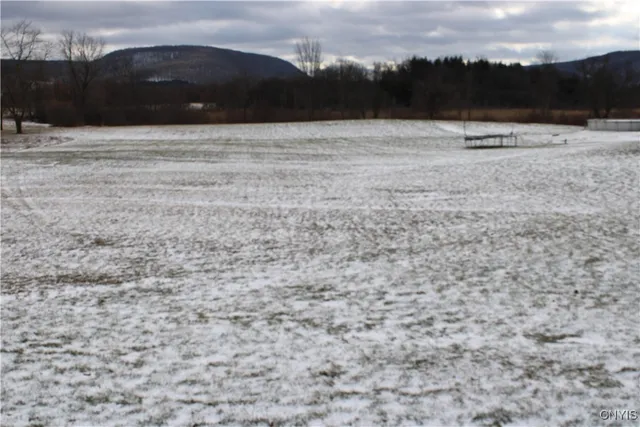 $98,900 | 6554 Highway 80, Fabius, NY 13159