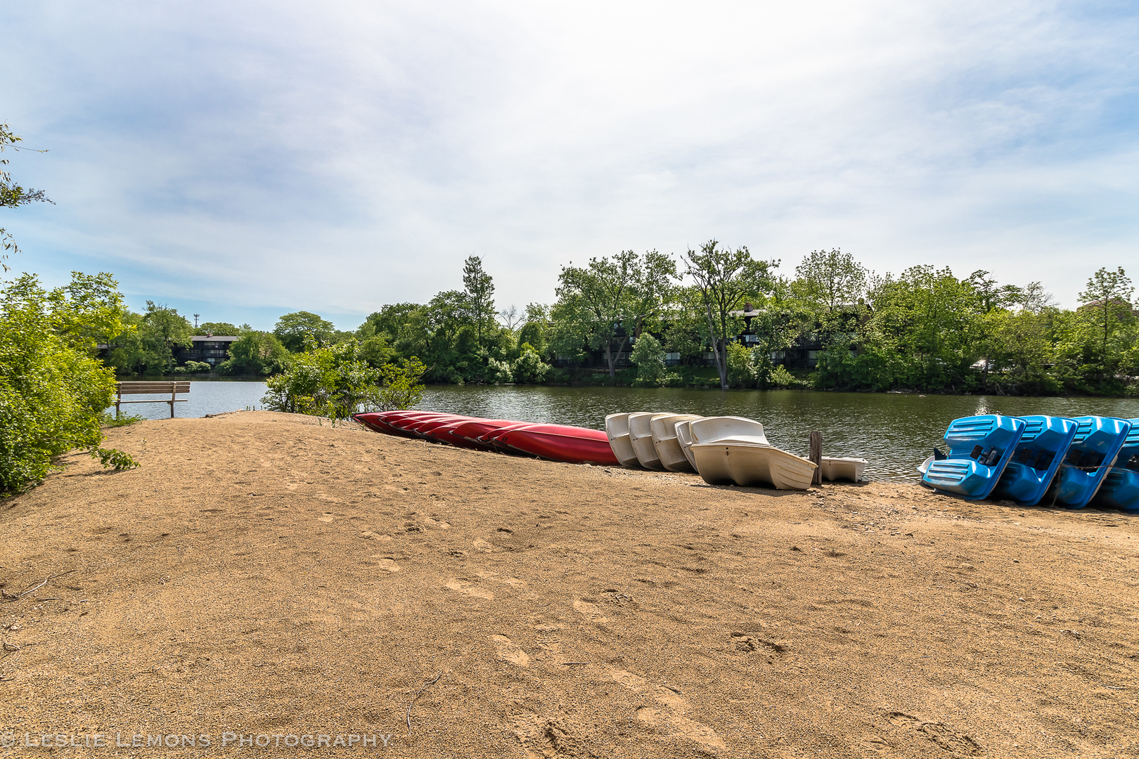 5927 Meadow Drive Lisle, IL 60532 - Photo 26 of 37