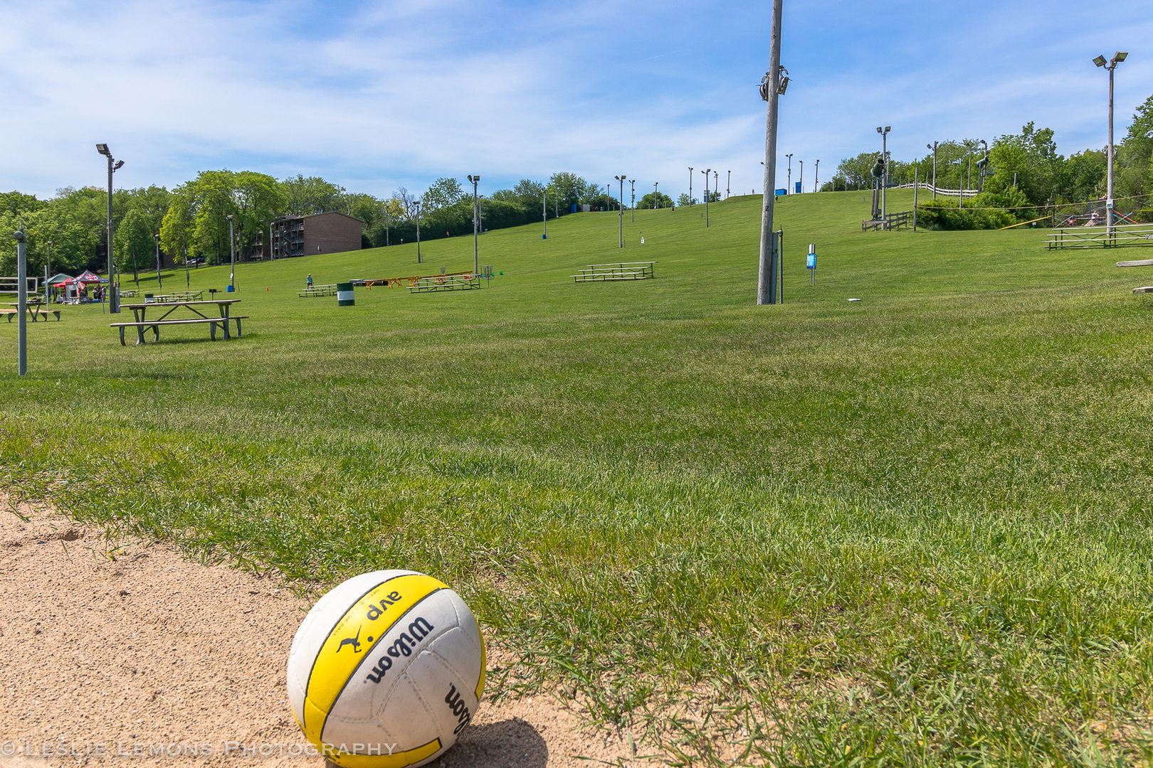 5927 Meadow Drive Lisle, IL 60532 - Photo 30 of 37