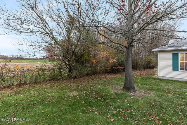 a view of a yard with plants and trees