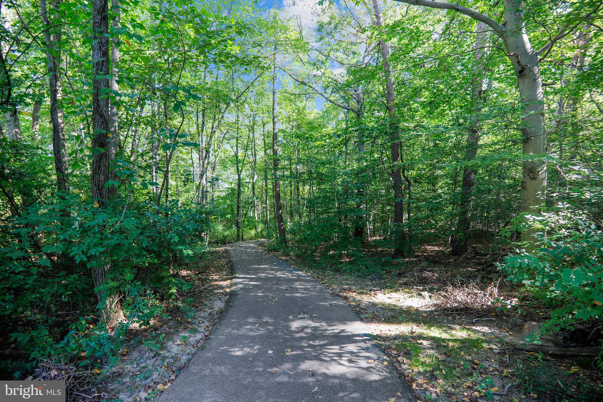 12205 Pheasant Run Drive Laurel, MD 20708 - Photo 25 of 25 Gallery Image 25