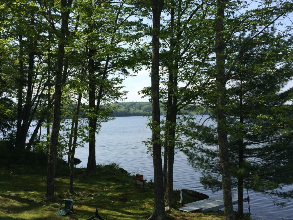 26 Mallard Road Nobleboro, ME 04555 - Photo 29 of 34 Additional dock, ideal for kayaks or...