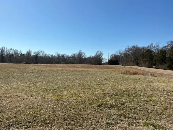 a view of a field with an ocean