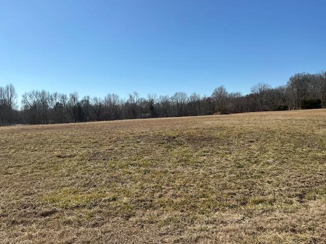 40 Aztec Drive Gallaway, TN 38002 - Photo 6 of 8 a view of lake and mountain view