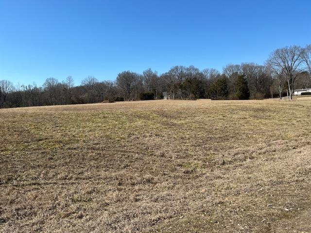 40 Aztec Drive Gallaway, TN 38002 - Photo 7 of 8