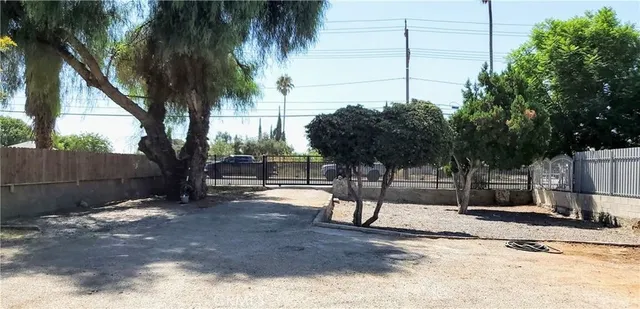 a view of a backyard with a tree