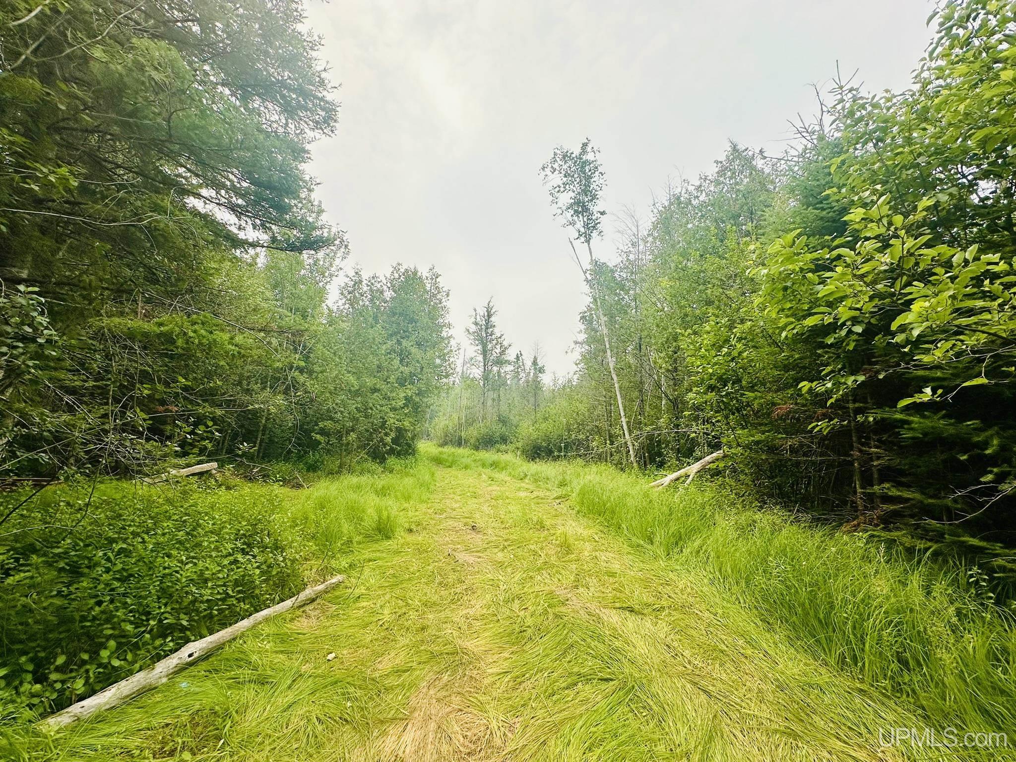 Tbd I Road Bark River, MI 49807 - Photo 1 of 4