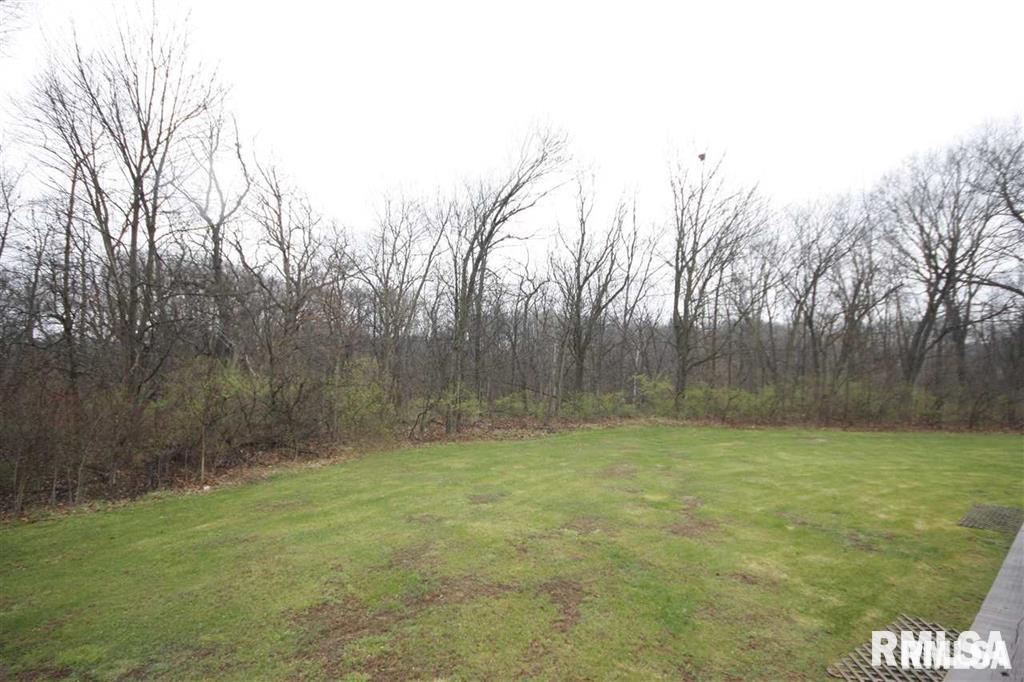 26365 North Orion School Road Canton, IL 61520 - Photo 29 of 29 Gallery Image 29