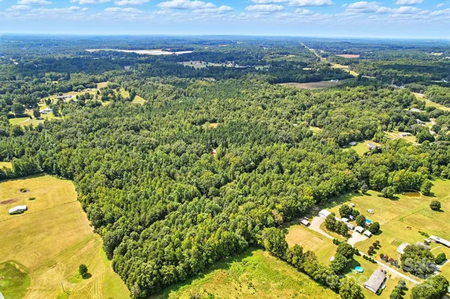 a close up of a plant