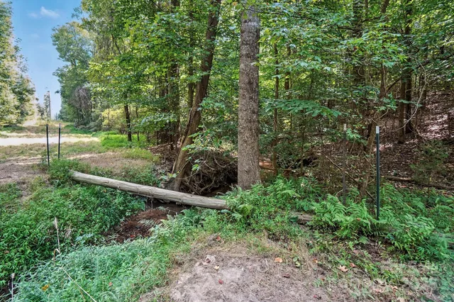 a view of yard with swimming pool and trees in the background