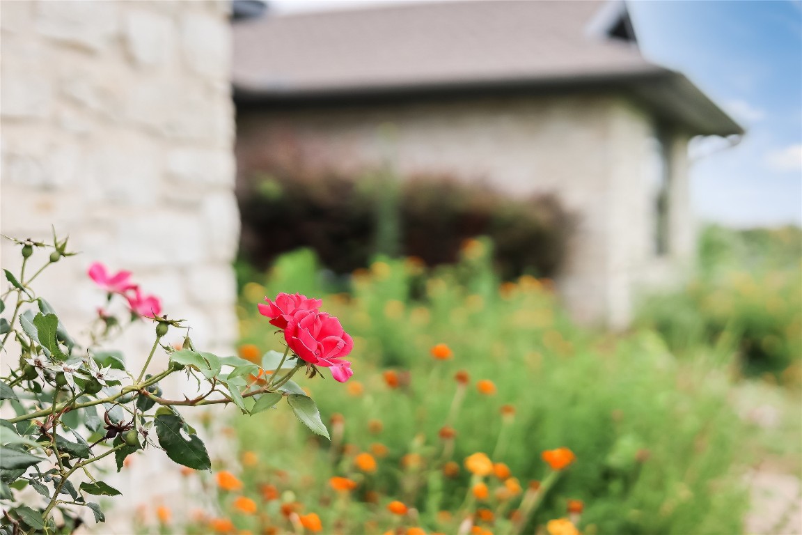 1931 Rowe Loop Pflugerville, TX 78660 - Photo 36 of 37 a view of yard