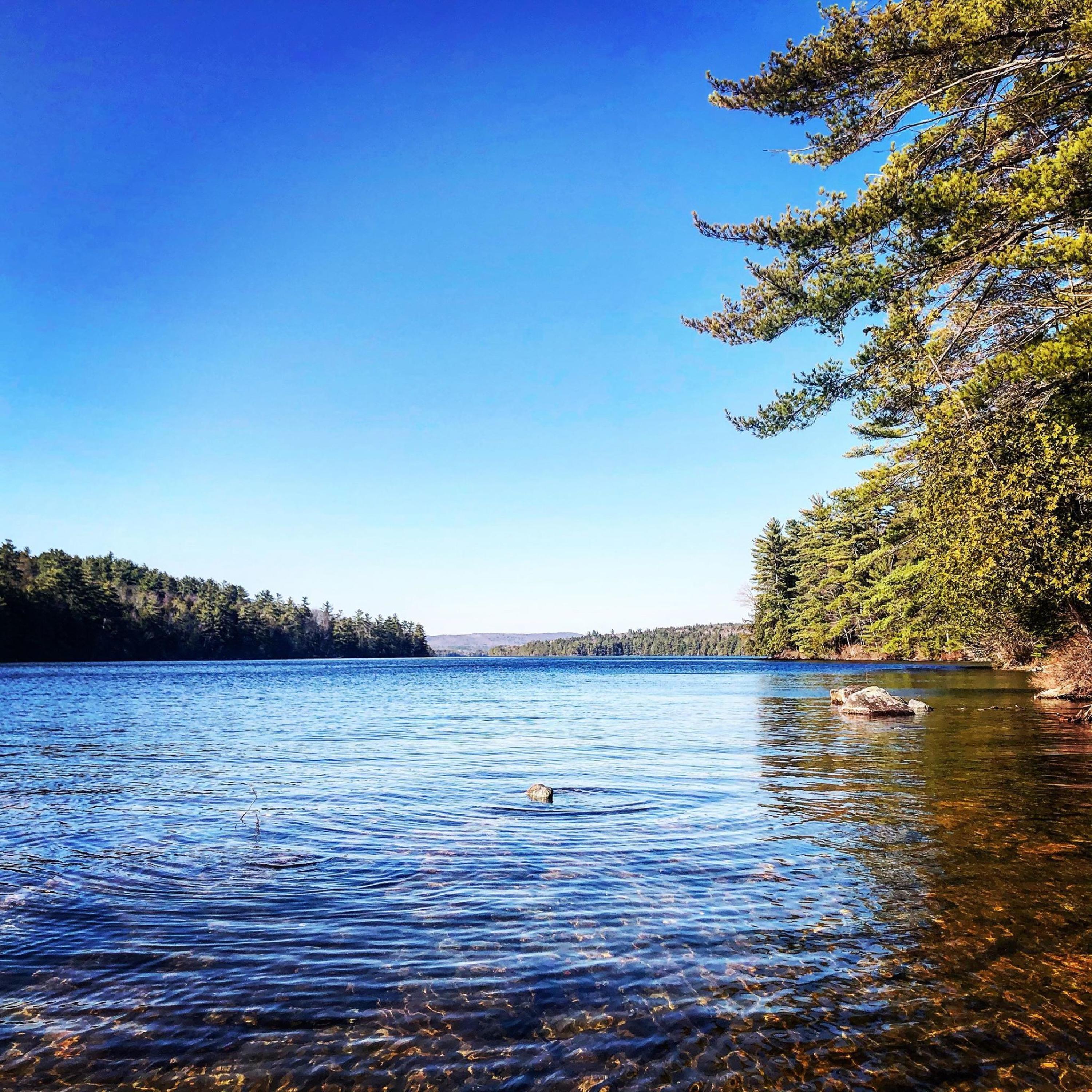 726 Sandy River Road Kents Hill, ME 04349 - Photo 2 of 69 Parker Pond