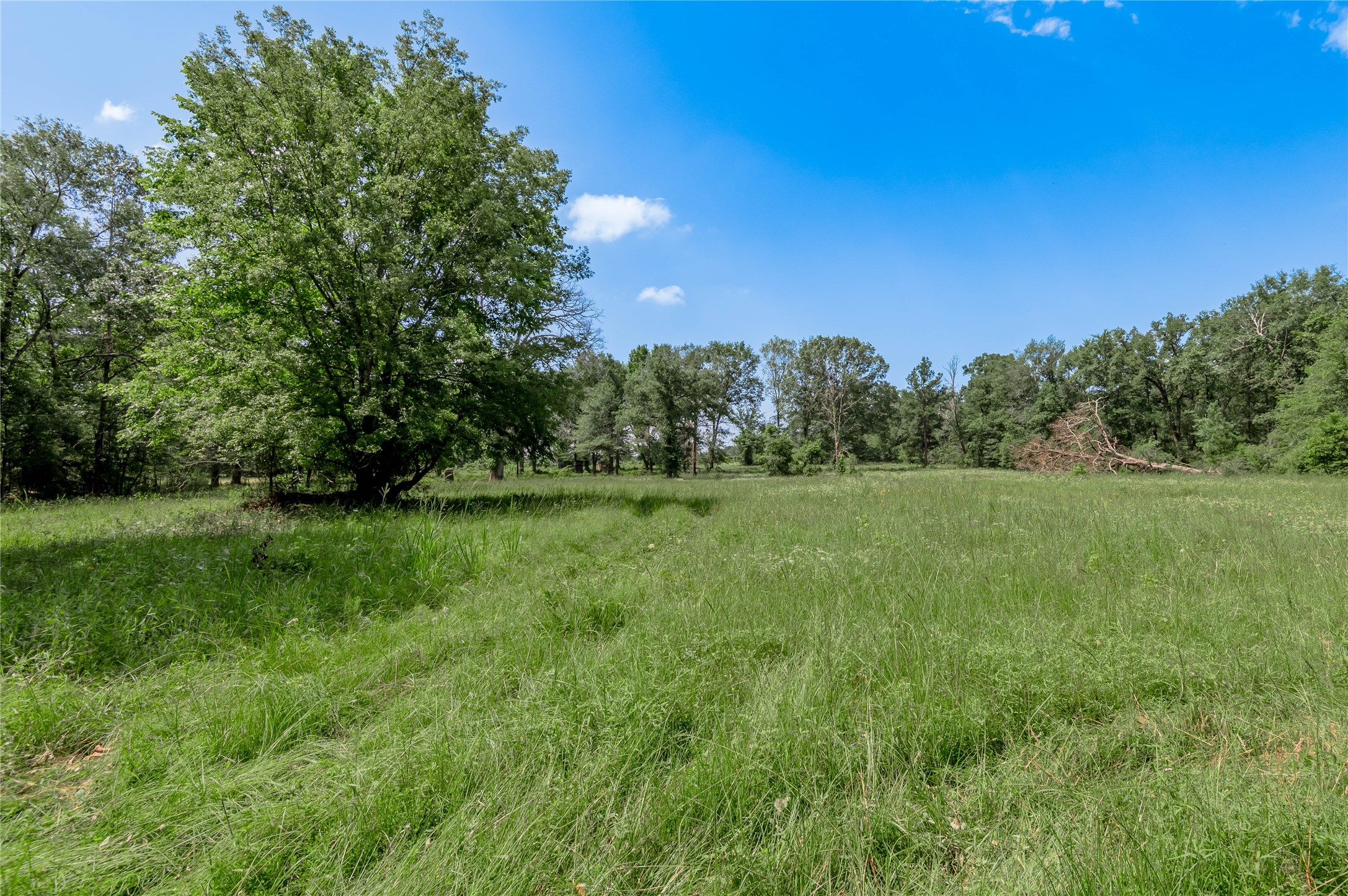 Tbd Neal Helton Road Kennard, TX 75847 - Photo 14 of 30 a view of a green field with wooden fence