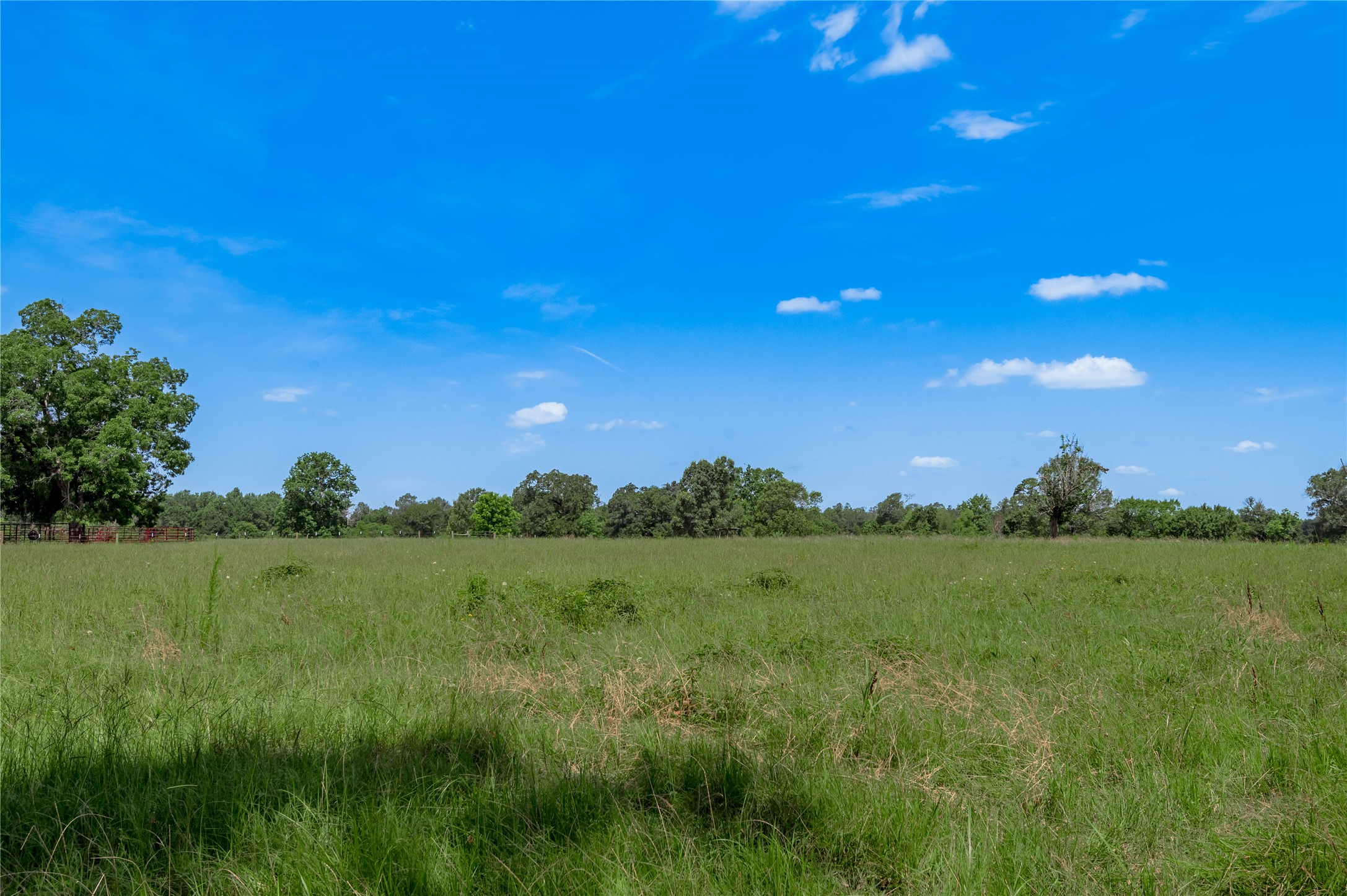 Tbd Neal Helton Road Kennard, TX 75847 - Photo 15 of 30 a view of a lush green space