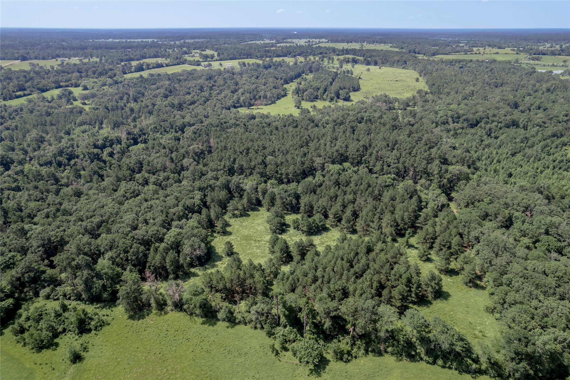 Tbd Neal Helton Road Kennard, TX 75847 - Photo 17 of 30 an aerial view of a houses with a lush green hillside