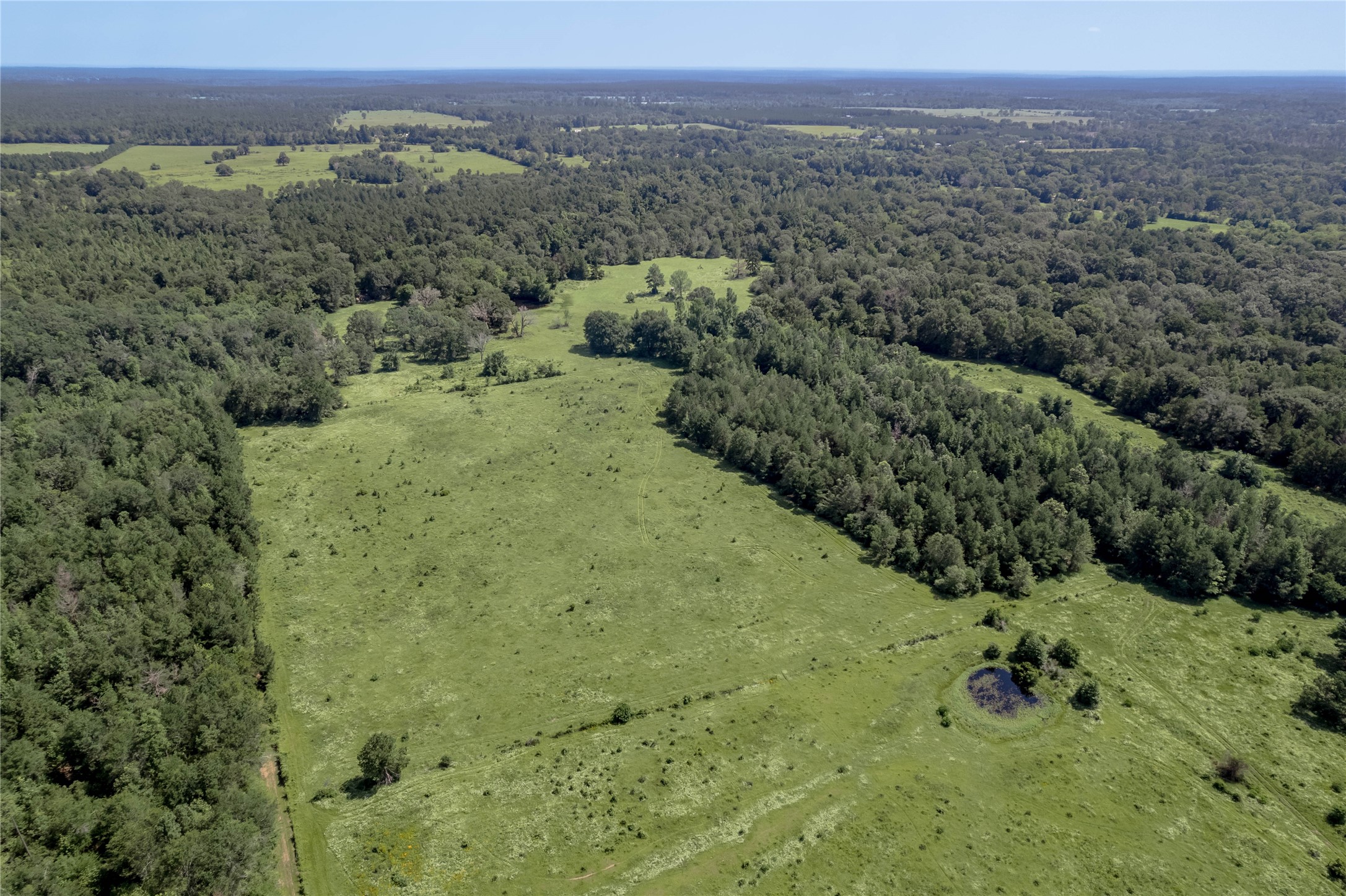 Tbd Neal Helton Road Kennard, TX 75847 - Photo 20 of 30 a view of a green field with lots of trees