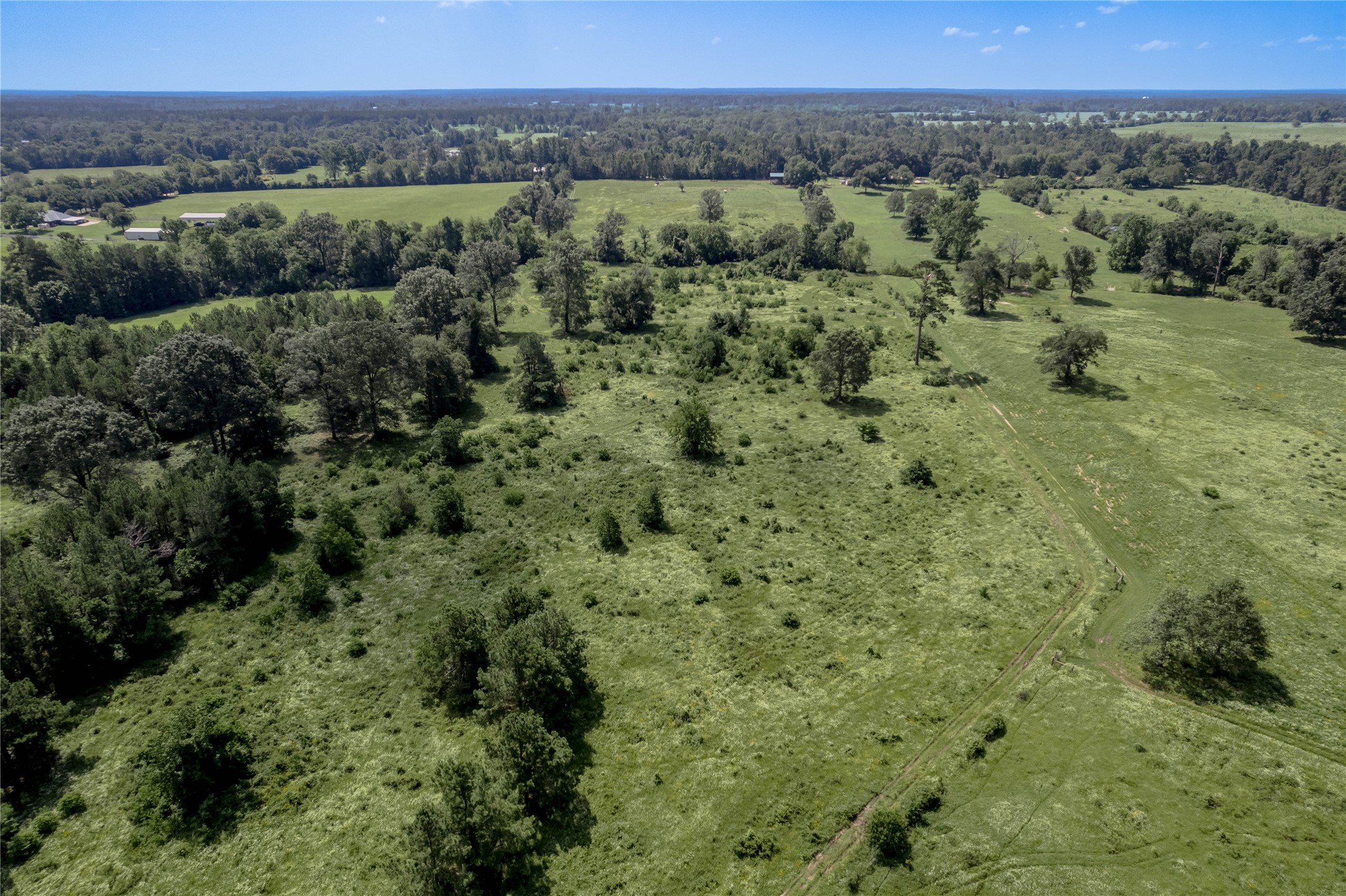 Tbd Neal Helton Road Kennard, TX 75847 - Photo 27 of 30 a view of a green field with lots of bushes