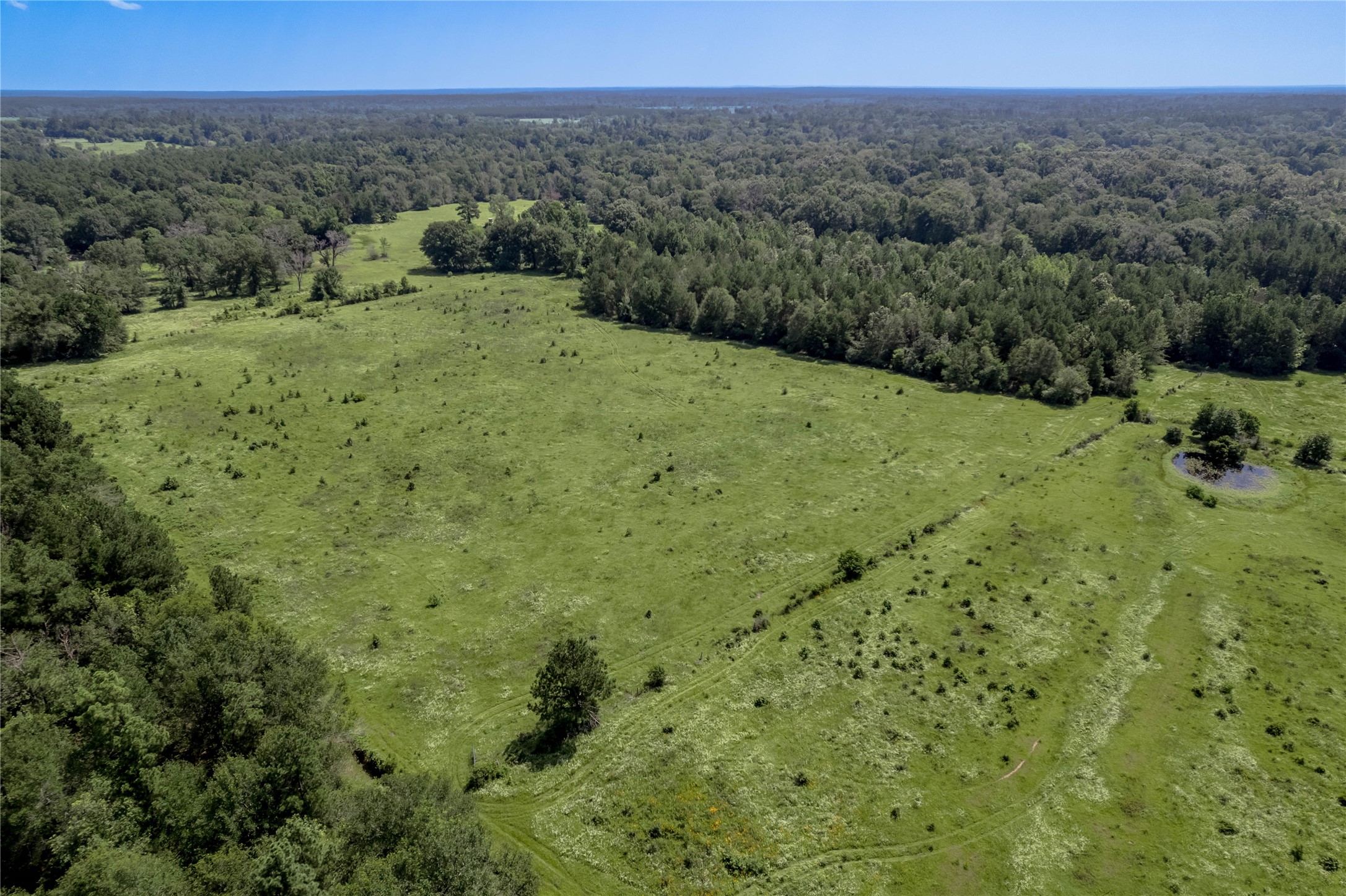 Tbd Neal Helton Road Kennard, TX 75847 - Photo 28 of 30 a view of a green field with lots of bushes